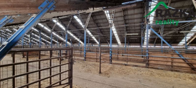 Prodej zemědělského objektu, Dlouhý Újezd, 10000 m2