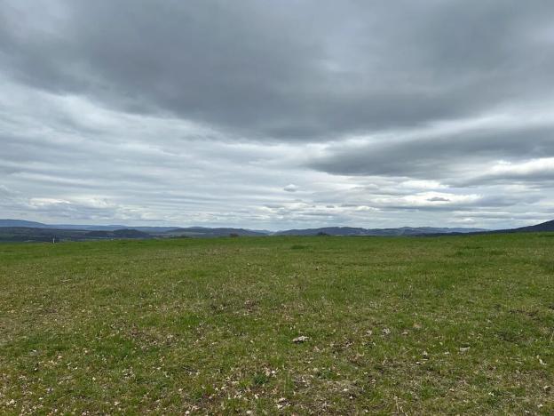 Prodej pozemku pro bydlení, Bžany, 9483 m2