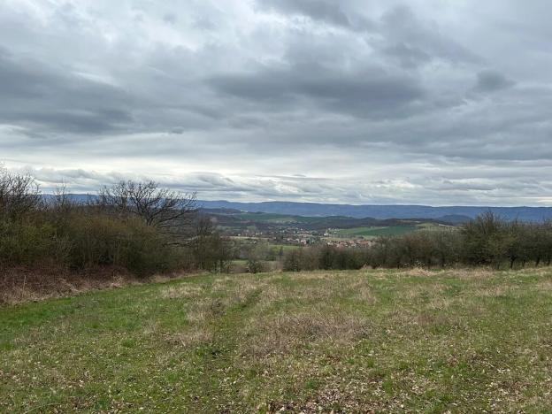 Prodej pozemku pro bydlení, Bžany, 9483 m2