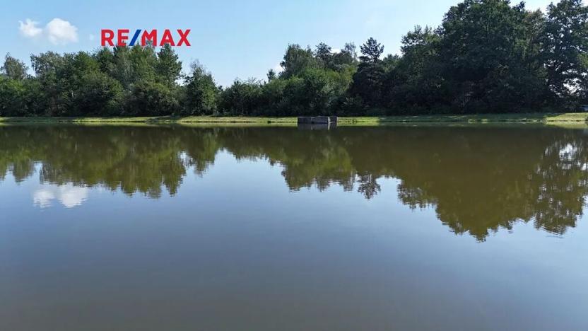 Prodej rybníku, Moravská Třebová, 94551 m2