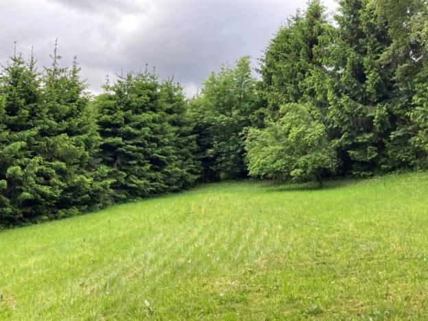 Prodej pozemku pro bydlení, Sušice, Pod Kalichem, 1284 m2