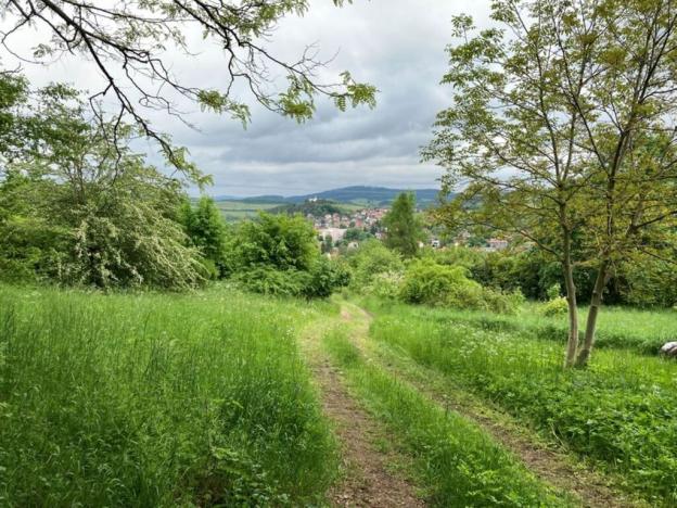 Prodej pozemku pro bydlení, Sušice, Pod Kalichem, 1284 m2