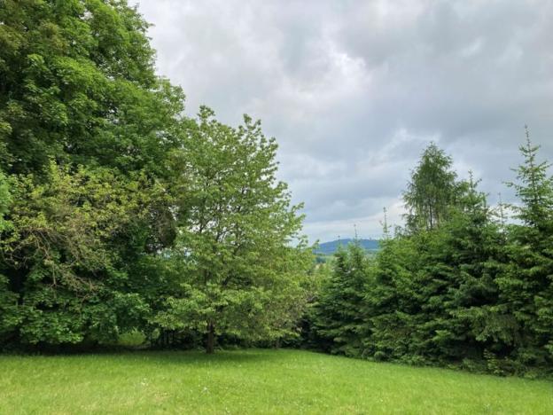 Prodej pozemku pro bydlení, Sušice, Pod Kalichem, 1284 m2