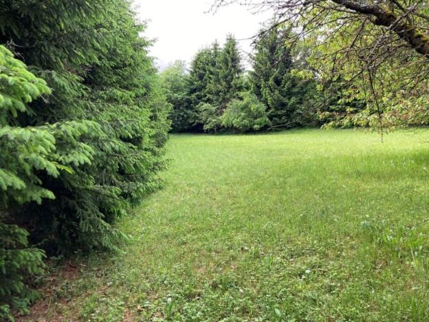 Prodej pozemku pro bydlení, Sušice, Pod Kalichem, 1284 m2