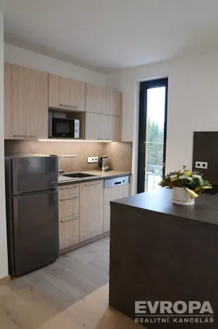 Pronájem bytu 2+kk, Rokytnice nad Jizerou - Horní Rokytnice, Horní Rokytnice, 33 m2