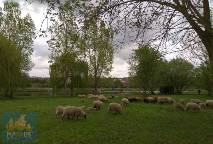 Pronájem komerčního pozemku, Praha - Lahovice, 200 m2