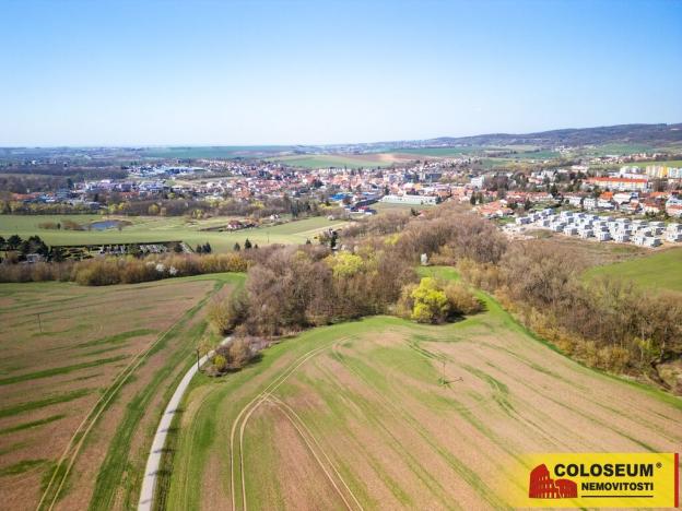 Prodej pozemku pro bydlení, Rousínov - Čechyně, 7787 m2