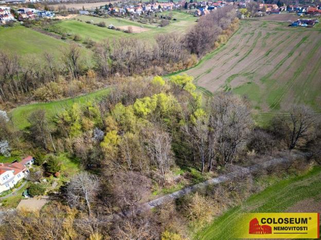 Prodej pozemku pro bydlení, Rousínov - Čechyně, 7787 m2