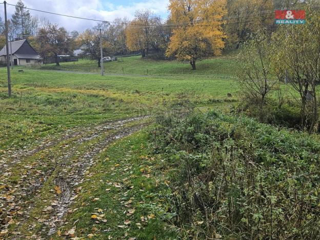 Prodej louky, Hanušovice - Vysoké Žibřidovice, 1636 m2