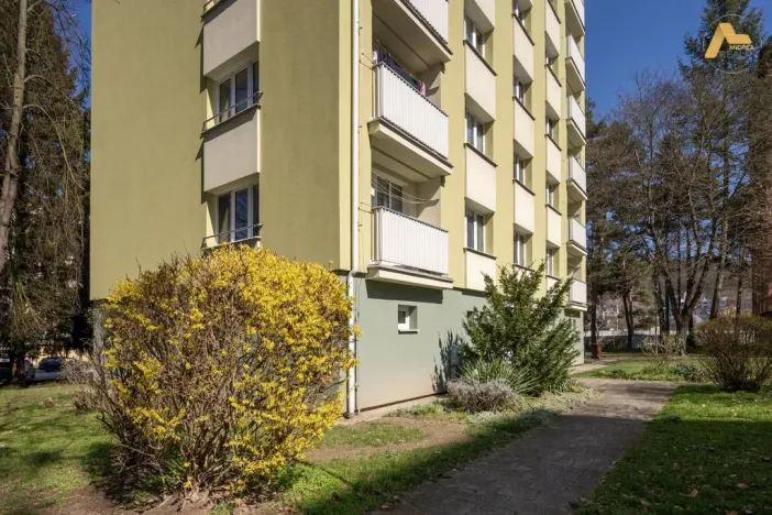 Pronájem bytu 2+1, Písek - Budějovické Předměstí, Dr. M. Horákové, 53 m2