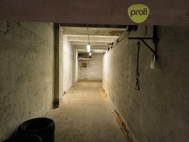 Pronájem skladu, Ostrava, Cihelní, 65 m2