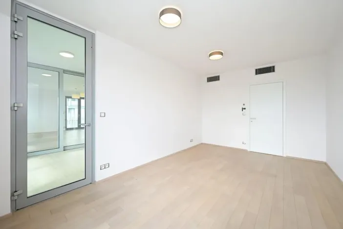 Pronájem bytu 4+kk, Praha - Žižkov, Olšanská, 120 m2