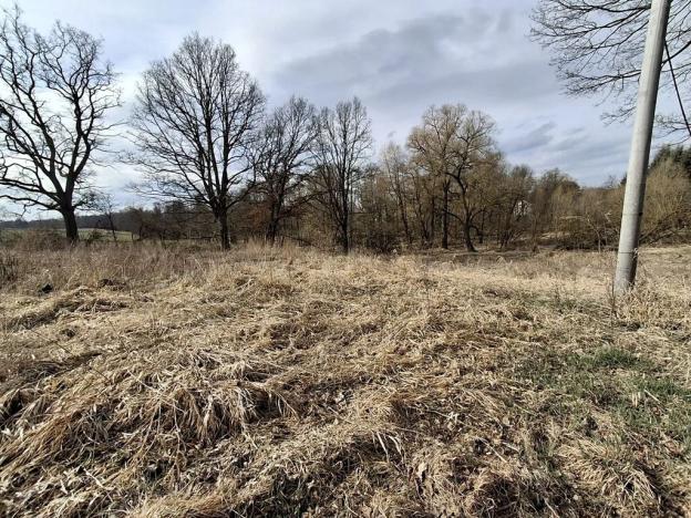 Prodej pozemku pro bydlení, Milíkov, 4644 m2