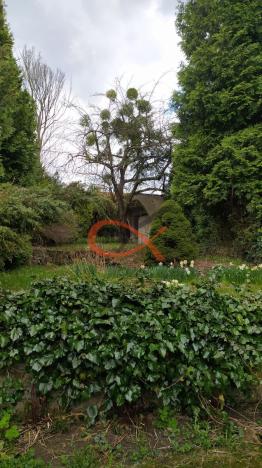 Prodej rodinného domu, Vigantice, 250 m2