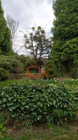 Prodej rodinného domu, Vigantice, 250 m2