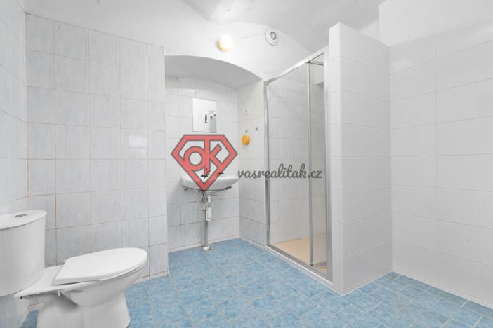 Prodej ubytování, Orličky, 440 m2