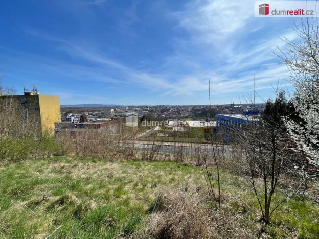 Prodej pozemku pro bydlení, Cheb, Dvořákova, 712 m2
