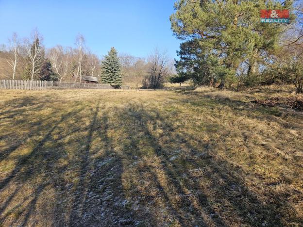 Prodej louky, Lipová - Seč, 524 m2