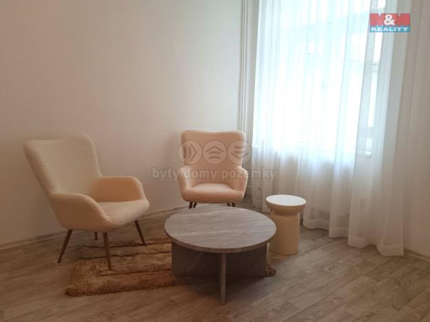 Pronájem obchodního prostoru, Plzeň - Vnitřní Město, Perlová, 50 m2