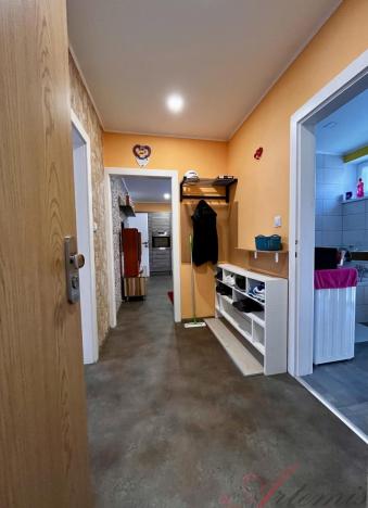 Prodej činžovního domu, Ostrava - Hrabůvka, Dvouletky, 350 m2