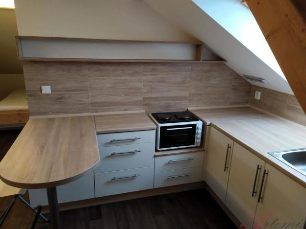 Prodej činžovního domu, Ostrava - Hrabůvka, Dvouletky, 350 m2