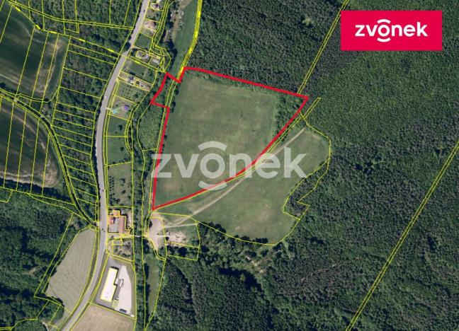 Prodej louky, Šarovy, 44190 m2