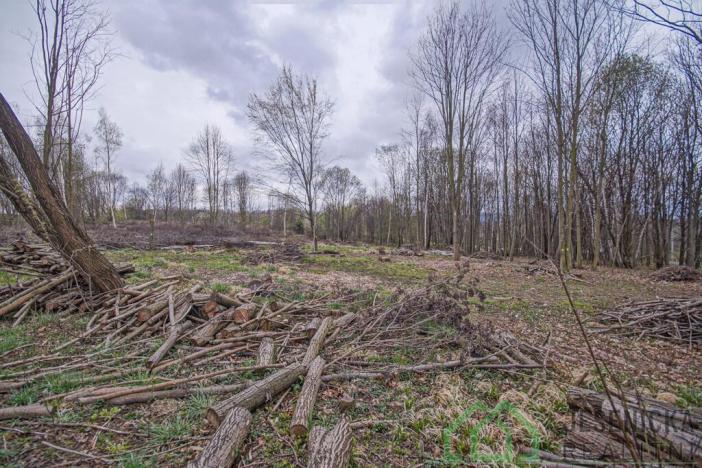 Prodej pole, Mikulovice, Na Bukovci, 6787 m2