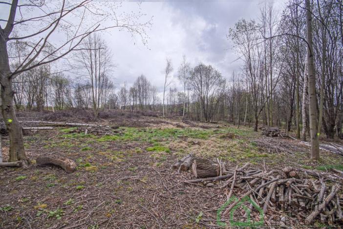 Prodej pole, Mikulovice, Na Bukovci, 6787 m2