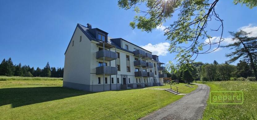 Prodej atypického bytu, Přední Výtoň, Svatý Tomáš, 152 m2