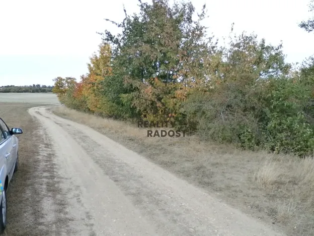 Pronájem zahrady, Znojmo, Leska Horní, 693 m2