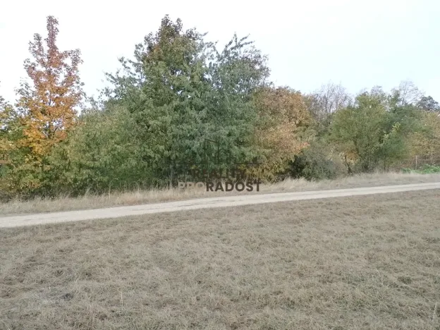 Pronájem zahrady, Znojmo, Leska Horní, 693 m2