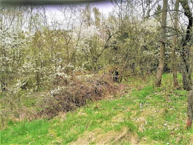 Prodej podílu pozemku pro bydlení, Veselá, 340 m2