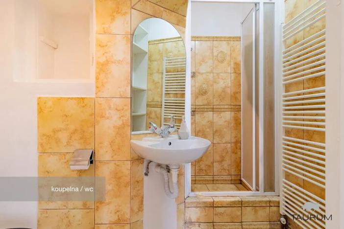 Prodej bytu 2+kk, Plzeň, Lipová, 60 m2