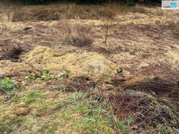 Prodej pozemku pro bydlení, Rychnov u Jablonce nad Nisou, Lužická, 1183 m2