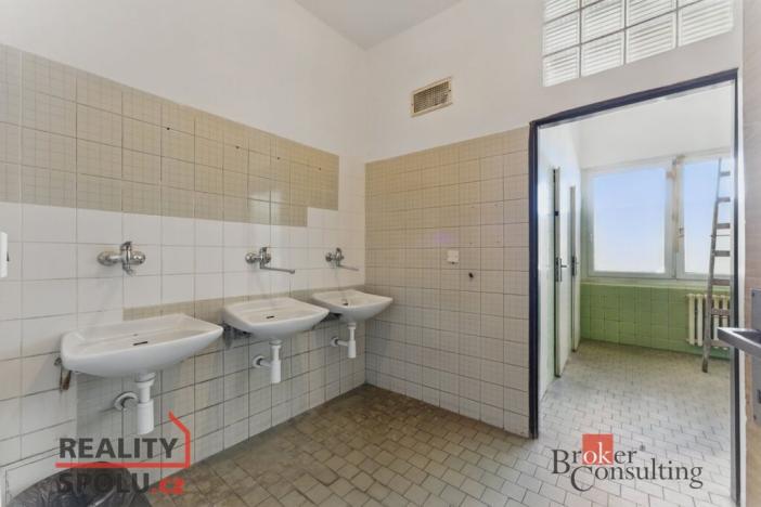 Pronájem výrobních prostor, Hradec Králové - Slezské Předměstí, Výrobní, 1059 m2