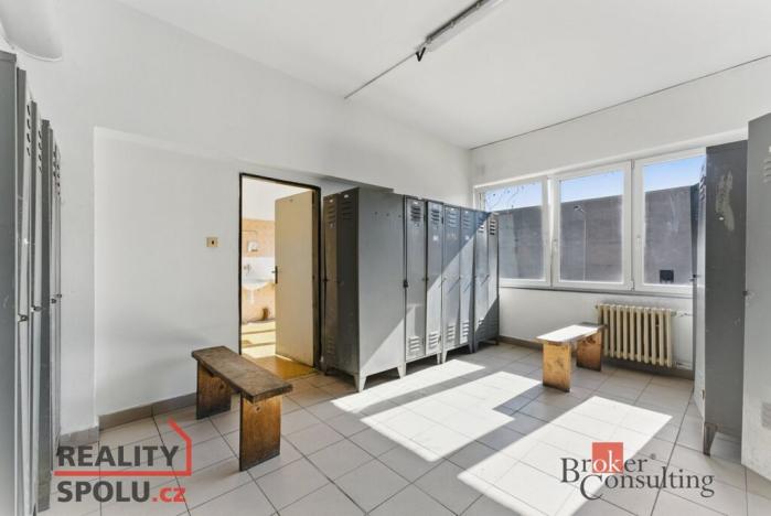 Pronájem výrobních prostor, Hradec Králové - Slezské Předměstí, Výrobní, 1059 m2