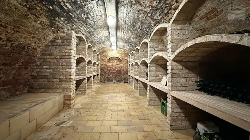 Prodej apartmánu, Strachotín, Sklepní, 285 m2