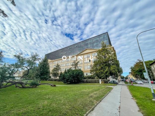 Pronájem kanceláře, Brno - Ponava, Šumavská, 400 m2