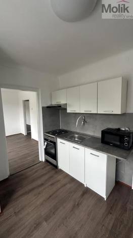 Prodej bytu 3+1, Litvínov - Chudeřín, Horská, 58 m2