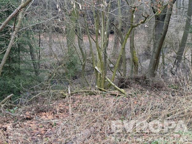 Prodej pozemku, Mohelnice - Řepová, 1647 m2