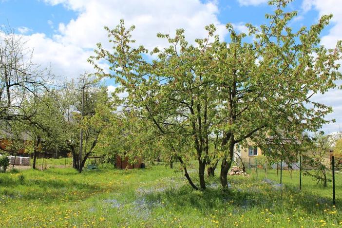 Prodej pozemku pro bydlení, Zlaté Hory, Polská, 880 m2