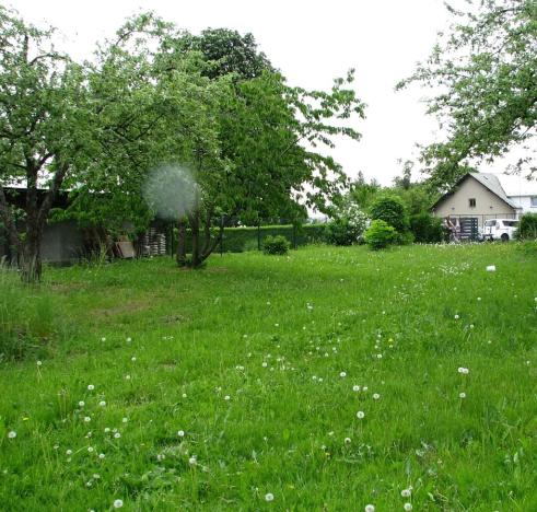 Prodej pozemku pro bydlení, Zlaté Hory, Polská, 880 m2