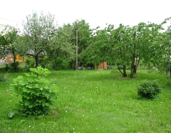 Prodej pozemku pro bydlení, Zlaté Hory, Polská, 880 m2