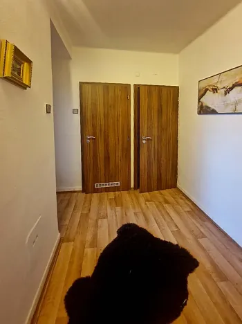 Prodej bytu 2+1, Plzeň, Ořechová, 68 m2