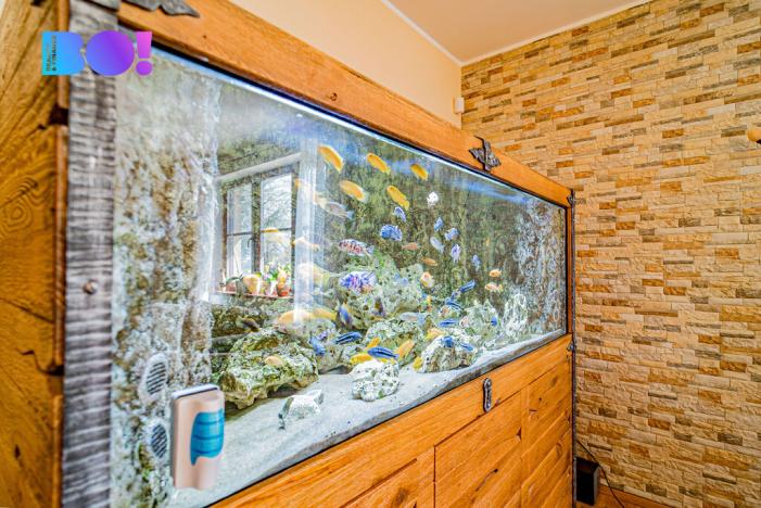 Prodej rodinného domu, Horní Moštěnice, Nábřežní, 427 m2