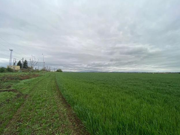 Prodej komerčního pozemku, Brno, 9415 m2