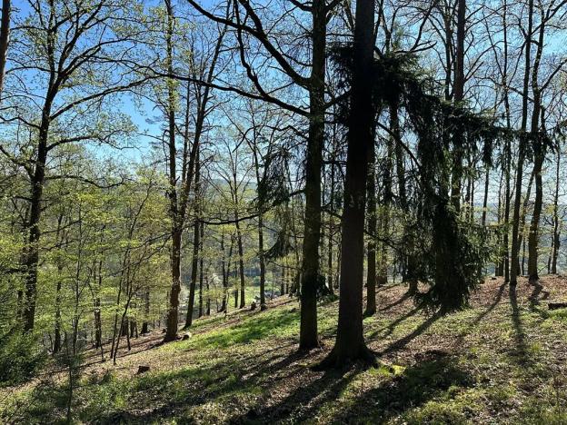 Prodej chaty, Štěchovice, 170 m2