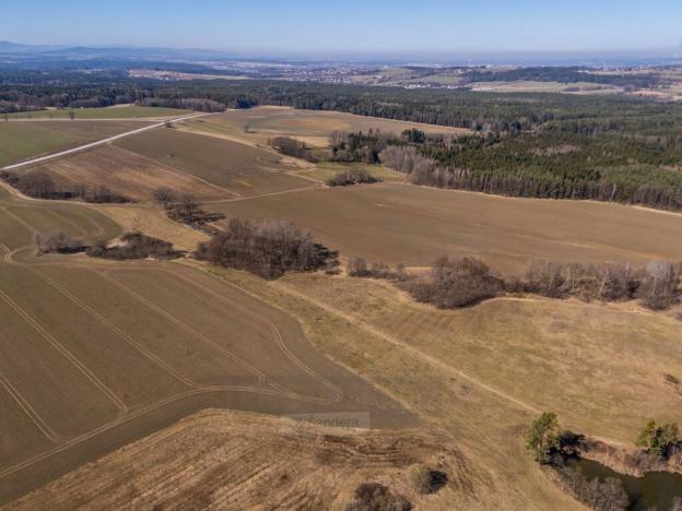 Prodej pozemku, Strážkovice, 15673 m2