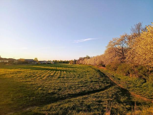 Prodej rodinného domu, Srubec, U Školky, 106 m2