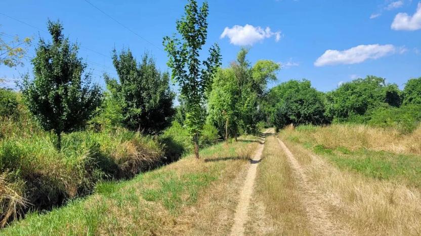 Prodej chaty, Brno, 38 m2